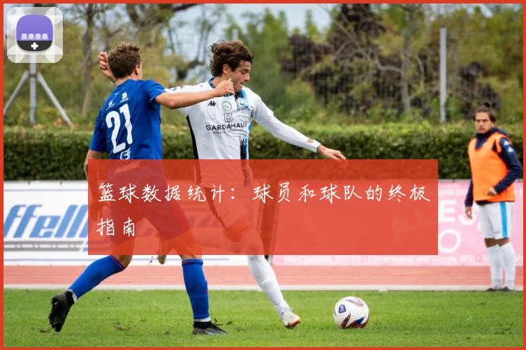 篮球数据统计：球员和球队的终极指南